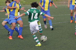 体育mk-体育新闻中心持续完善体育新闻质量监督机制，体育新闻 新闻